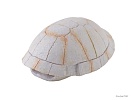 Убежище-грот EXO TERRA Панцирь черепахи, 13×9х5.5 см