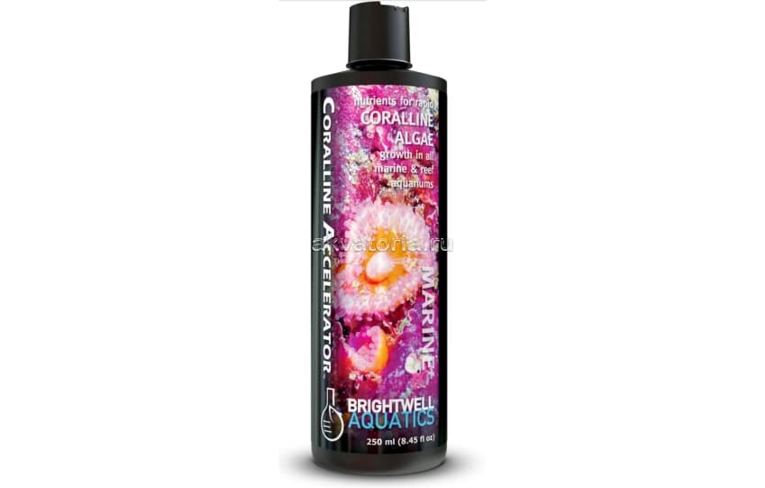 Питательная подкормка для жестких рифов Brightwell Aquatics Coralline Accelerator, 250 мл
