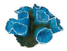 Искусственный коралл Laguna Кауластрея синяя