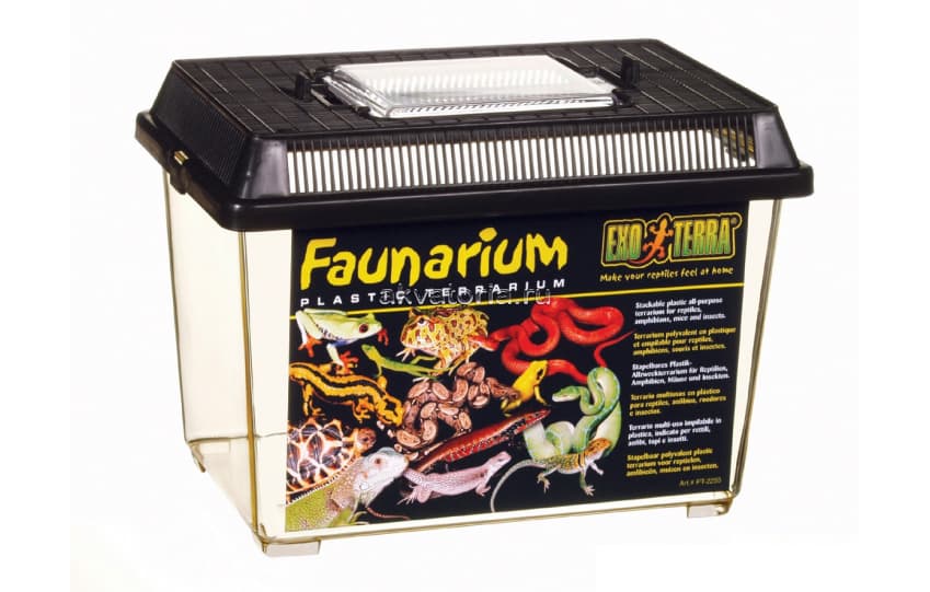 Фаунариум-отсадник малый пластиковый Hagen ExoTerra Faunarium Small 23×15,3×16,5 см