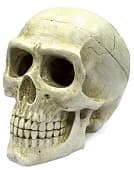 Аквариумная декорация ArtUniq Large Skull "Большой череп"