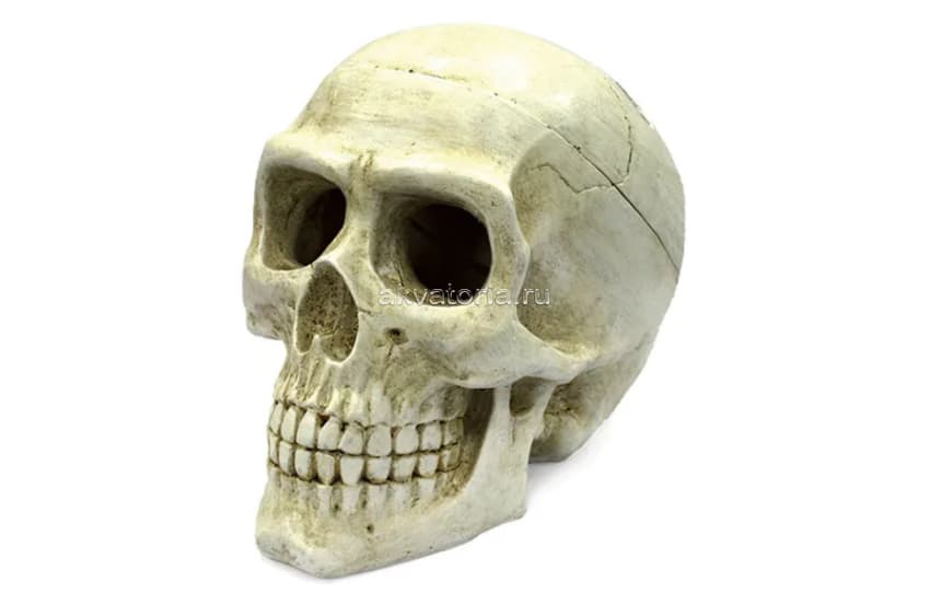 Аквариумная декорация ArtUniq Large Skull 