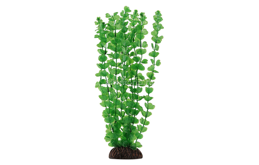 Искусственное растение Laguna Бакопа зелёная, 50 см