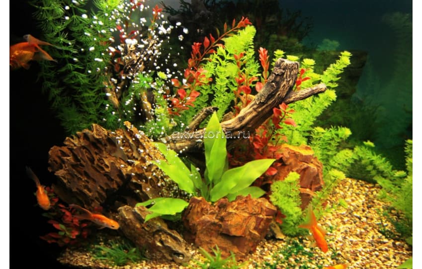 Самостоятельное оформление аквариума 260-450 л искусственными растениями