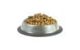 Корм для взрослых кошек Gina Elite Cat Hairball Chicken, курица, сухой, 20 кг