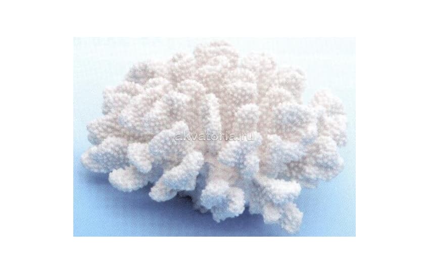 Искусственный коралл Vitality белый, большой, 20×19×9,5 см (SH9009XLWt)