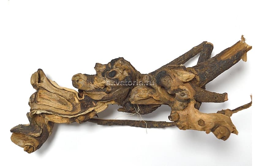 Коряга натуральная Bell Wood, 40-80 см, цена за кг