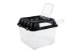 Отсадник-инкубатор Repti-Zoo RT2004B, 42×26×16 см