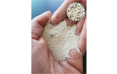 Грунт оолитовый песок DVH Oolites Real, 5 кг
