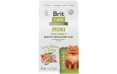 Корм для собак мелких пород Brit Care Mini Adult Healthy Skin&Shiny Coat, лосось и индейка, 1,5 кг