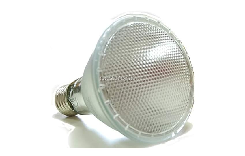 Галогенная лампа Lucky Reptile Halogen Spot, 75 Вт