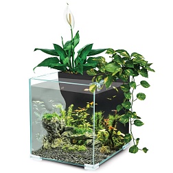 Laguna Botanic 9,4л