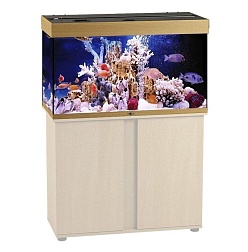 Биодизайн Риф 160