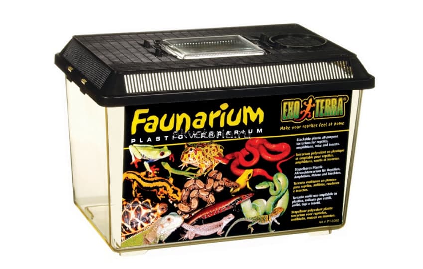 Фаунариум-отсадник средний пластиковый Hagen ExoTerra Faunarium Medium 30×19,5×20,5 см
