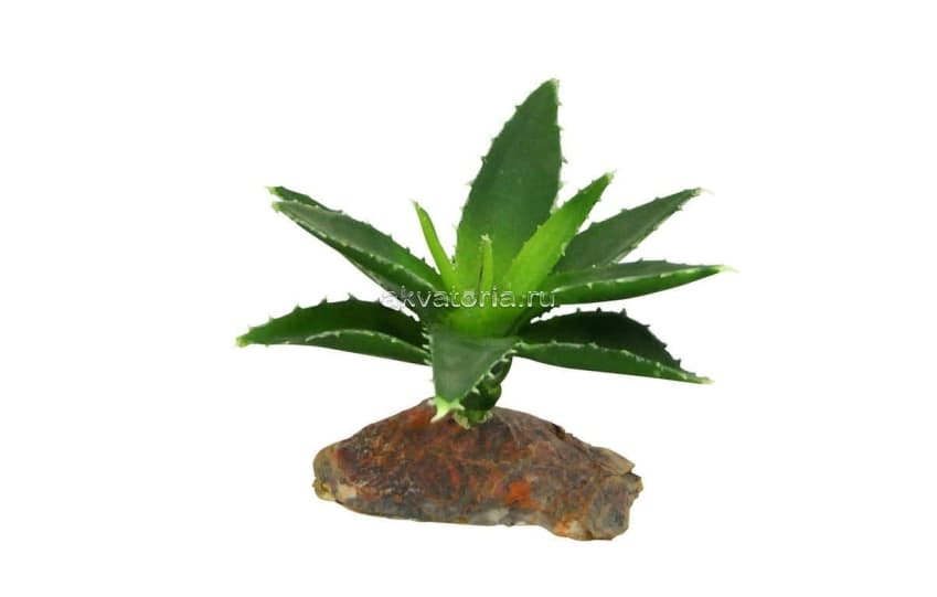 Искусственное растение Lucky Reptile Agava "Агава", 10 см