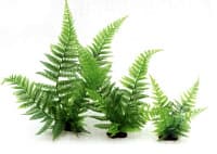 Искусственное растение Vitality Папоротник зелёный, 20 см