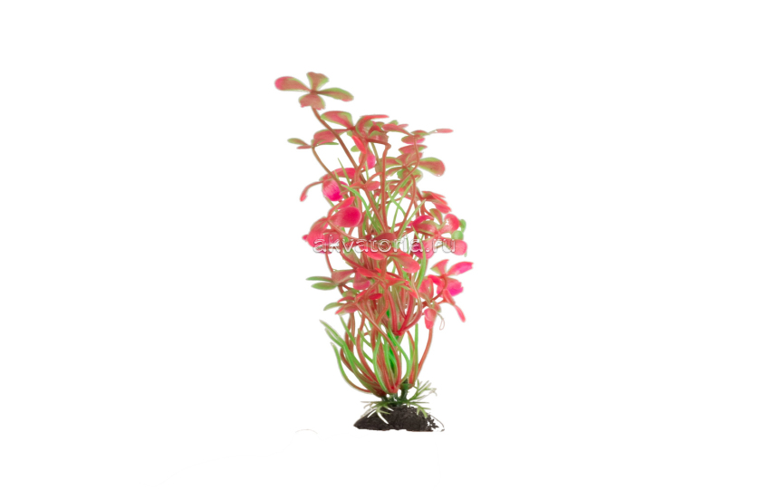 Искусственное растение Naribo Марсилия красная, 18 см