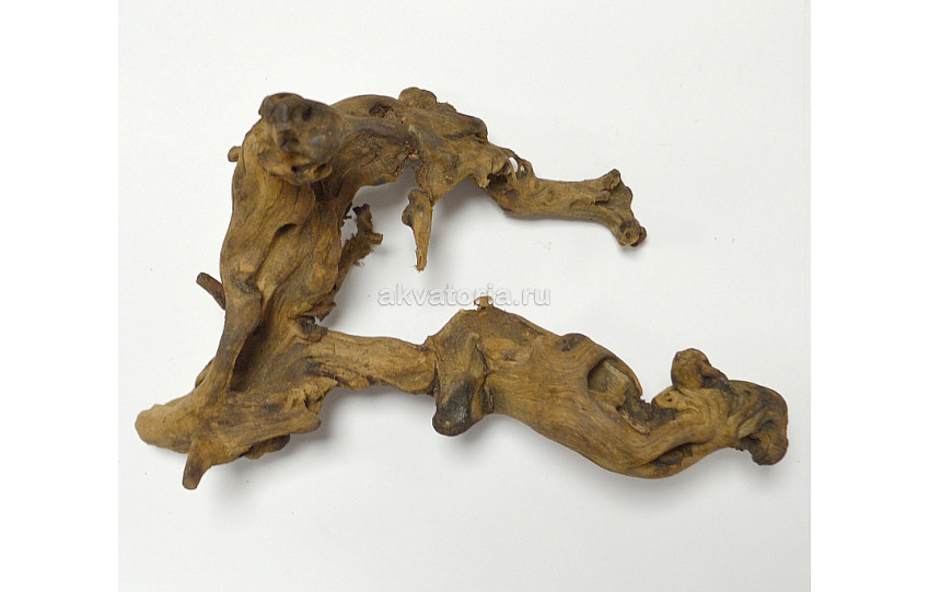 Коряга натуральная Bell Wood, 40-80 см, цена за кг