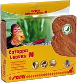 Листья индийского миндаля Sera Catappa Leaves M, 18 см