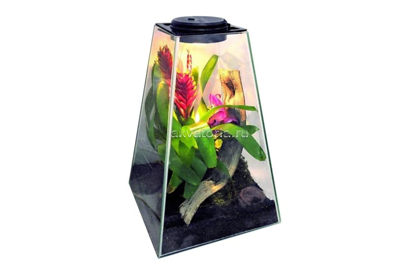 Флорариум-инсектариум в пирамиде Lucky Reptile Life Pyramide, 30×30×45 см, свет многоцветный