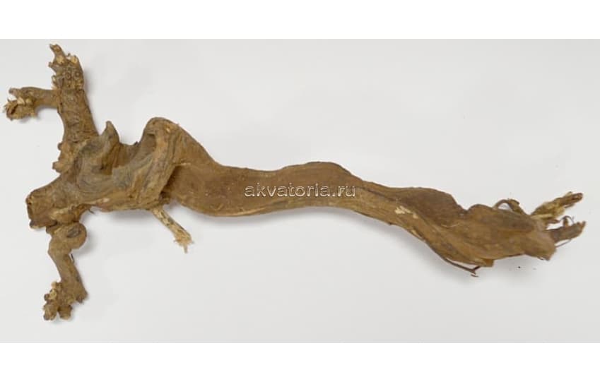 Коряга натуральная Magic Drift Wood, цена за кг