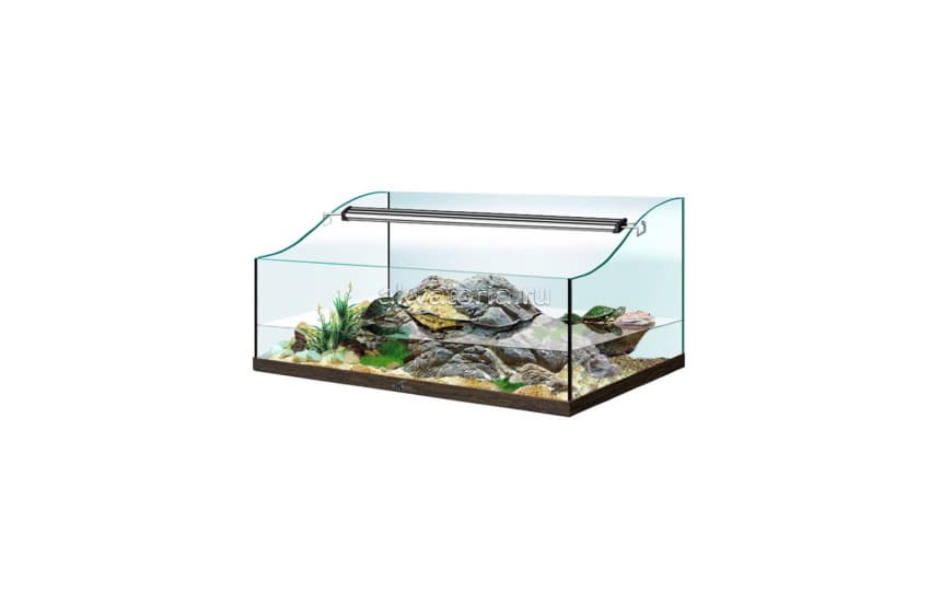 Террариум Биодизайн Turt-House Aqua 55, 55×35×32 см