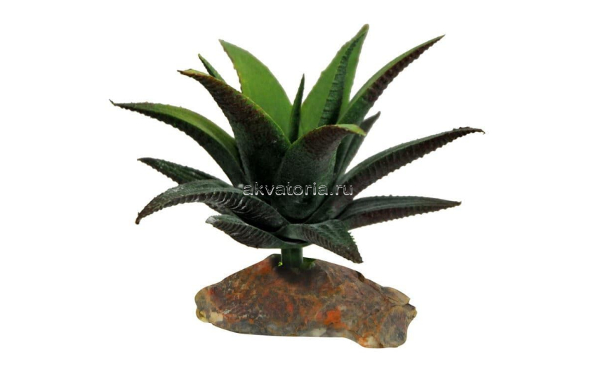 Искусственное растение Lucky Reptile Succulent, 10 см