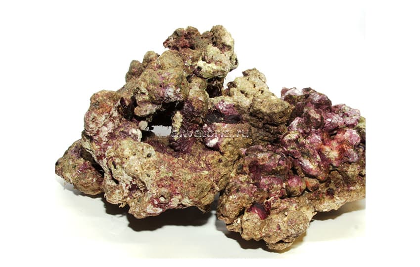 Живые морские камни, 1 кг