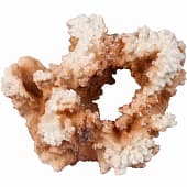 Искусственный коралл AQUA DELLA Коралл коричневый, 19,5×11×17,5 см