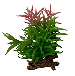 Искусственное растение TERRA DELLA Крассула, 13×10,5×16 см