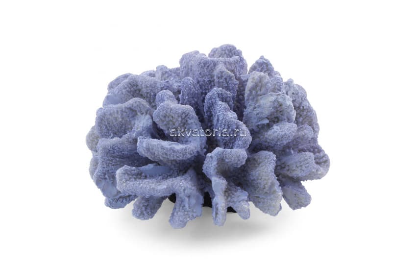 Искусственный коралл Laguna Пектиния фиолетовая