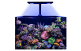 Светильник AquariumLighting Core XC
